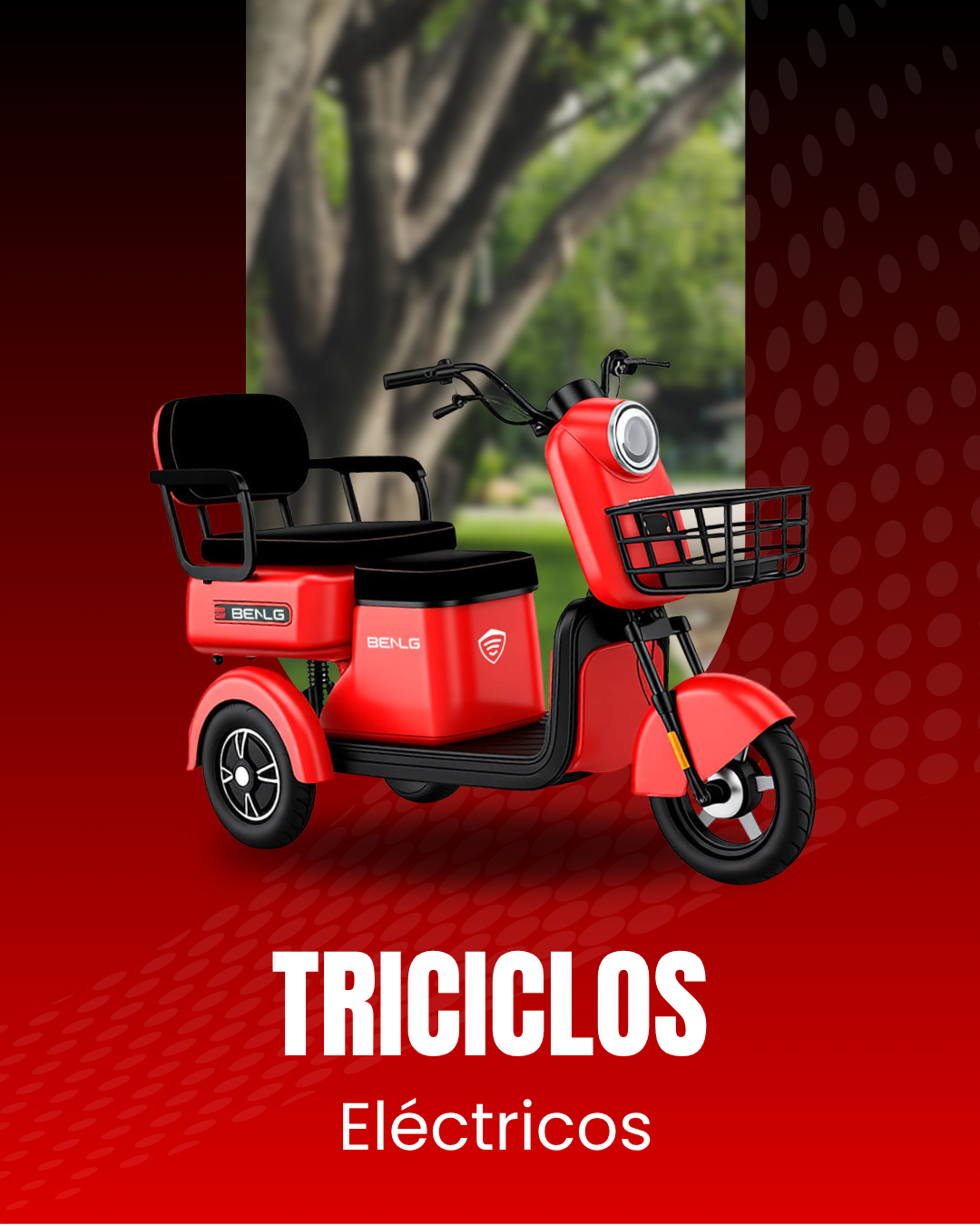 Categoría 4